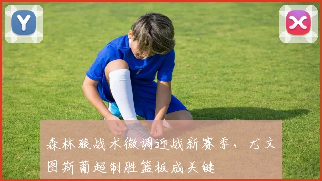 森林狼战术微调迎战新赛季，尤文图